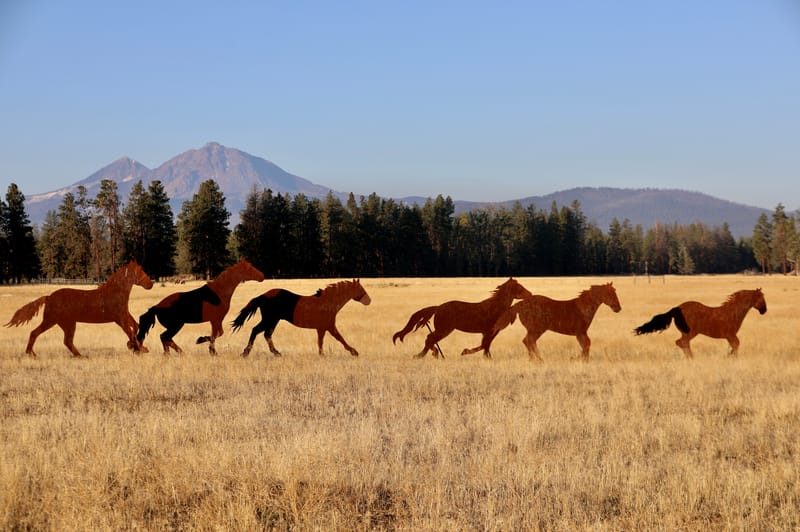 Le Top 50 - Etats de Washington & de l'Oregon