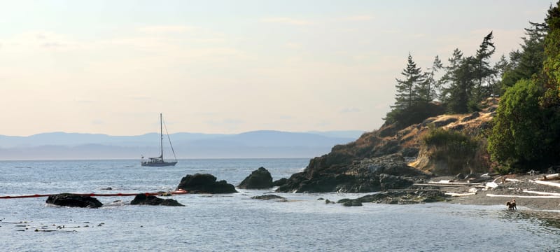 Les INSOLITES du Voyage