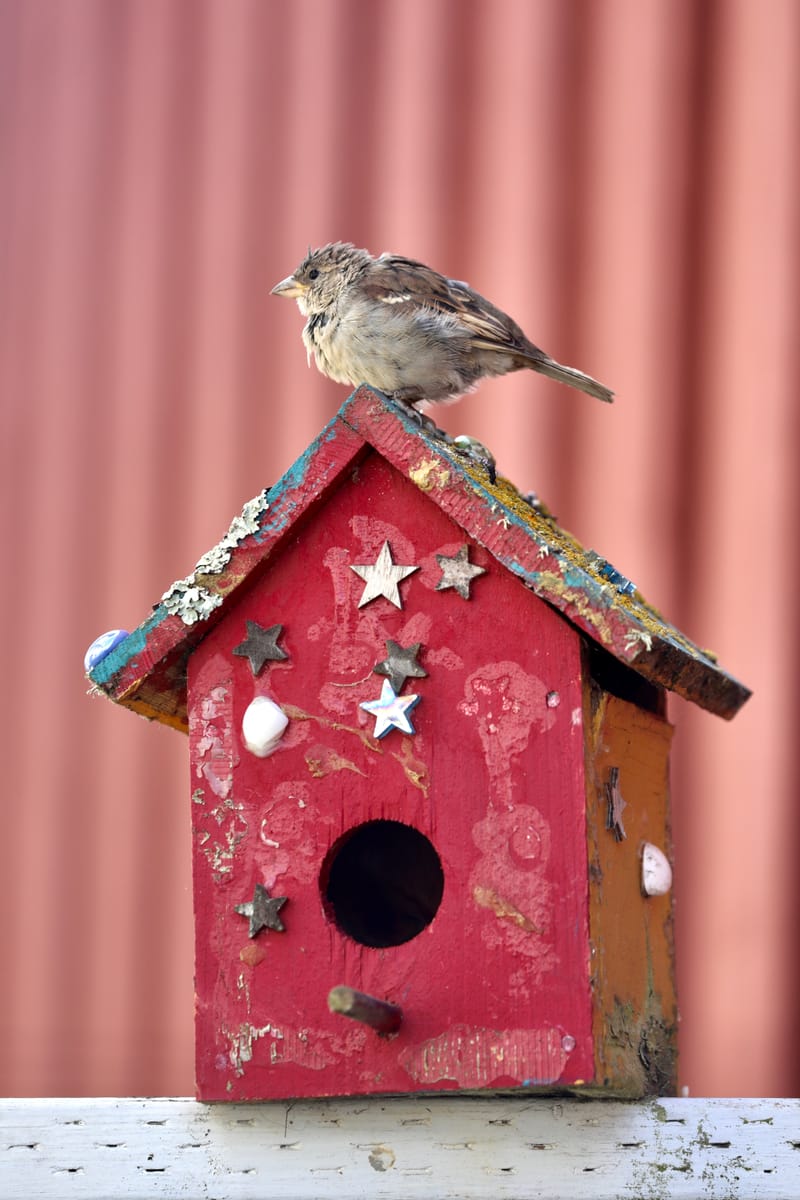 Les INSOLITES du Voyage