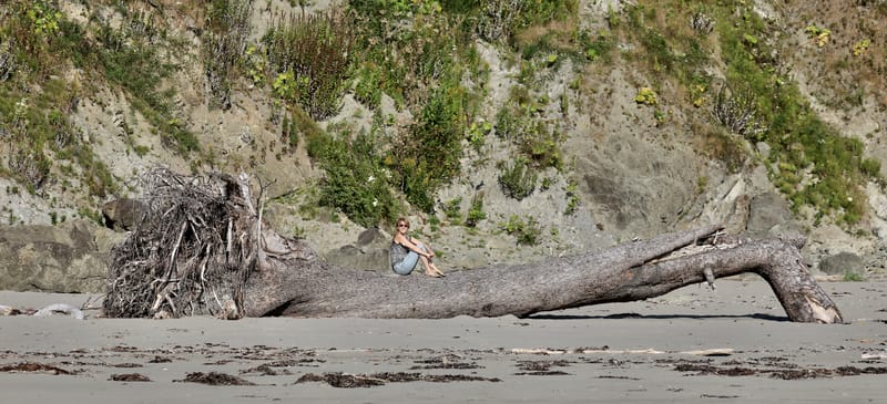 Les INSOLITES du Voyage