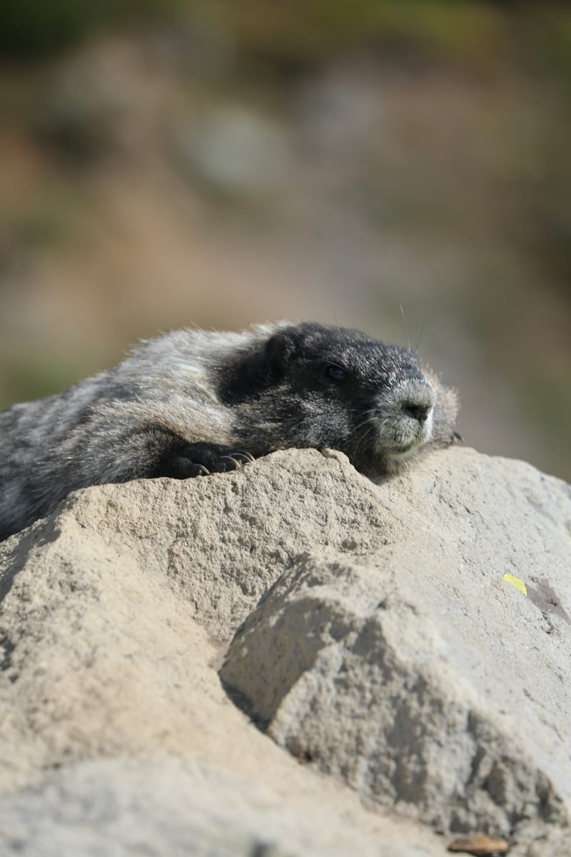 Les INSOLITES du Voyage