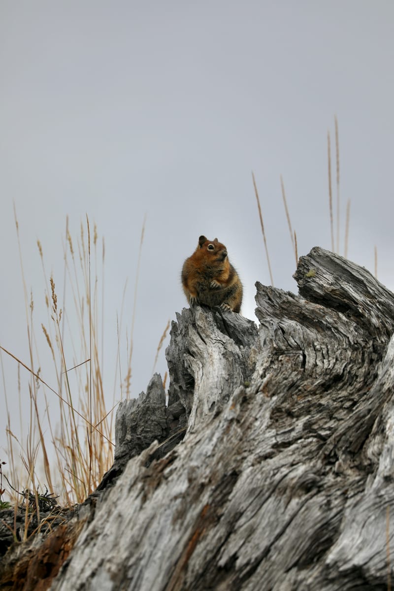 Les INSOLITES du Voyage