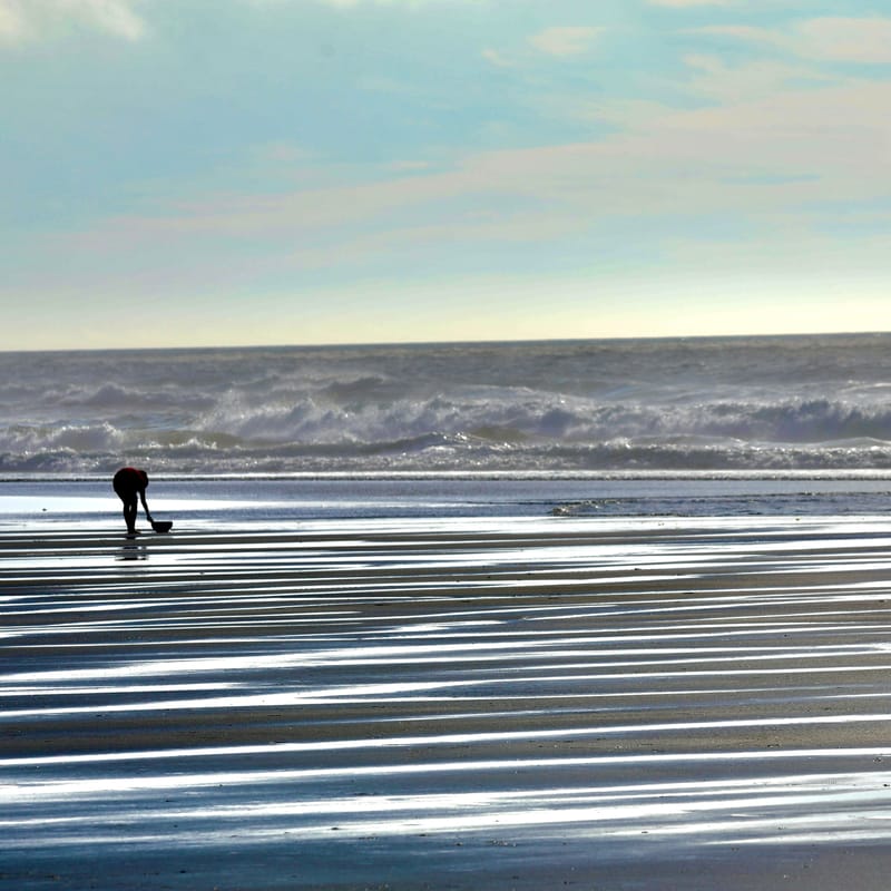 Les INSOLITES du Voyage