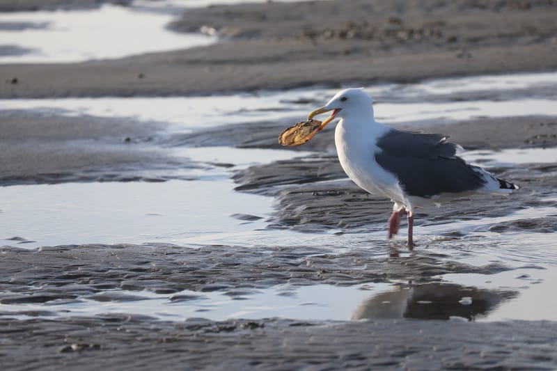 Les INSOLITES du Voyage