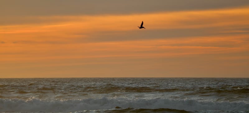 Les INSOLITES du Voyage