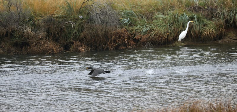 Les INSOLITES du Voyage