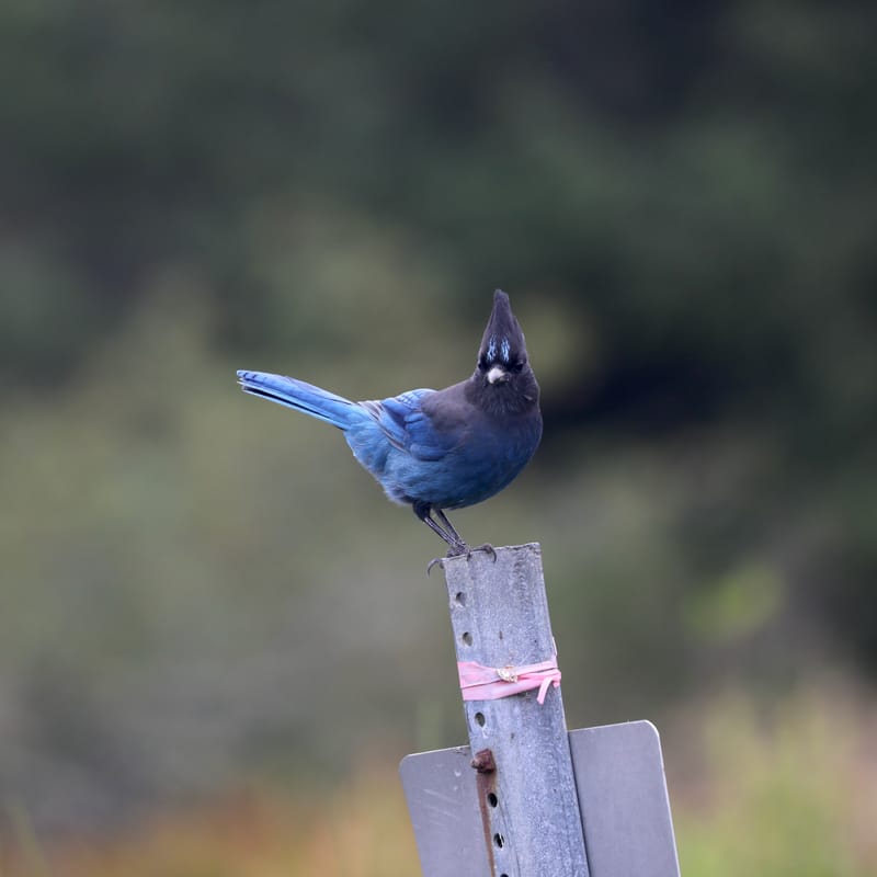 Les INSOLITES du Voyage
