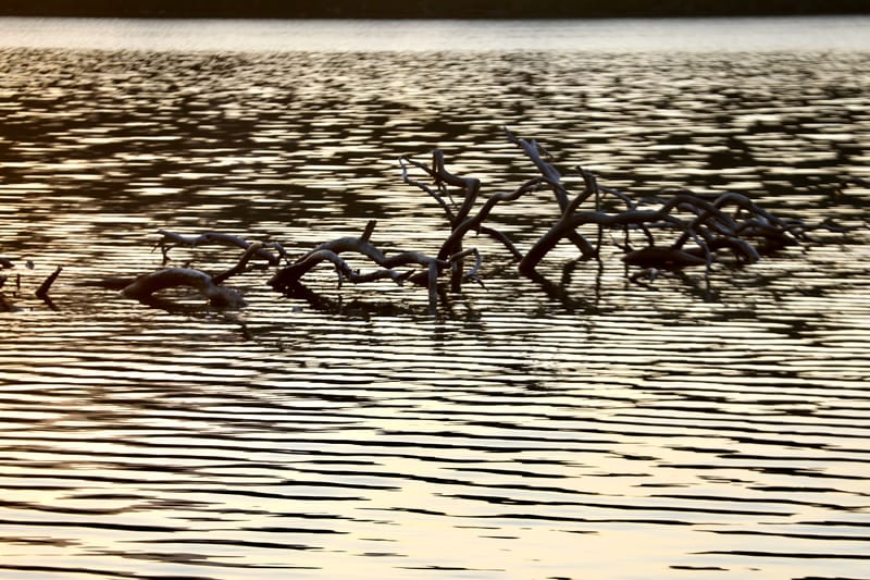 Les INSOLITES du Voyage
