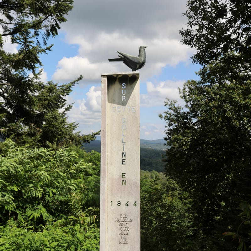 1. VOSGES : Ronchamp, Chapelle Notre Dame du Haut (Le Corbusier)