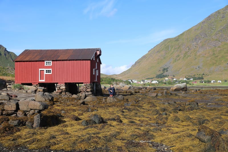 2. Iles Lofoten 2 (HRZ)