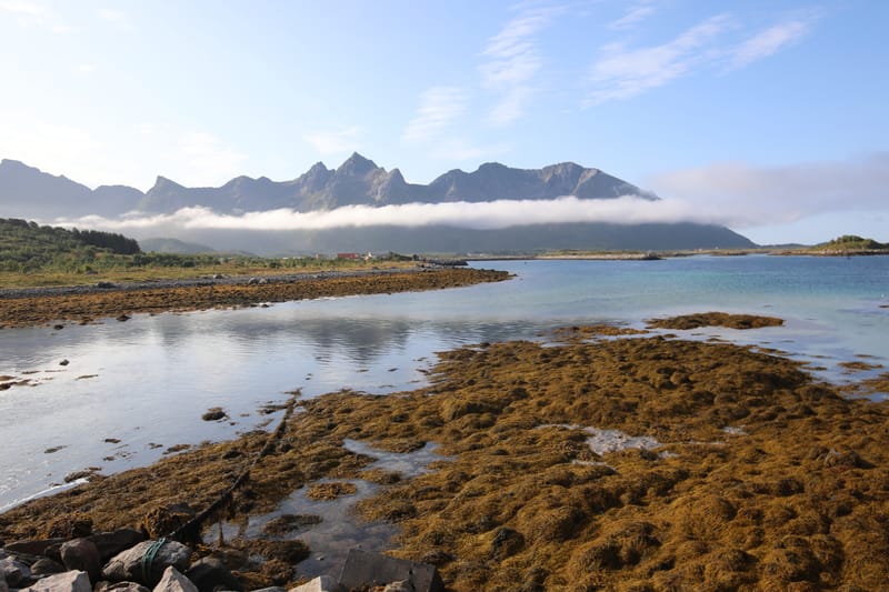 2. Iles Lofoten 2 (HRZ)