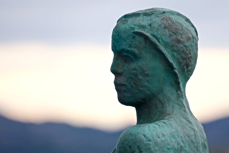 3. En croisière sur le Finnmarken de Stamsund à Bodo, Molde et Bergen