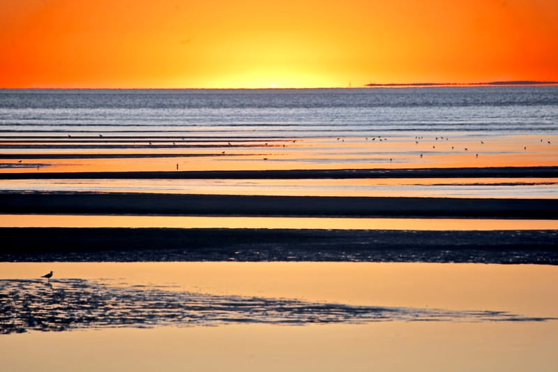 7. CAPE COD 1 : soleil de Brewster