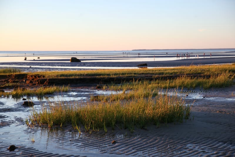 7. CAPE COD 1 : soleil de Brewster