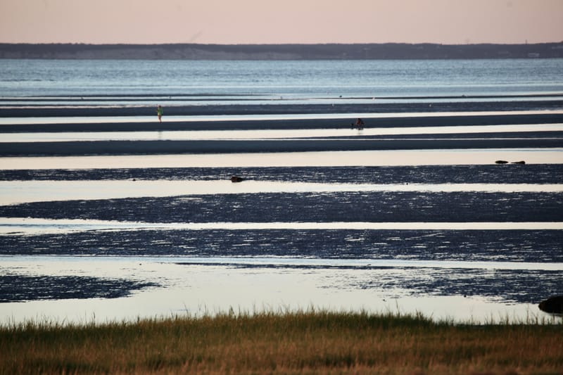 7. CAPE COD 1 : soleil de Brewster