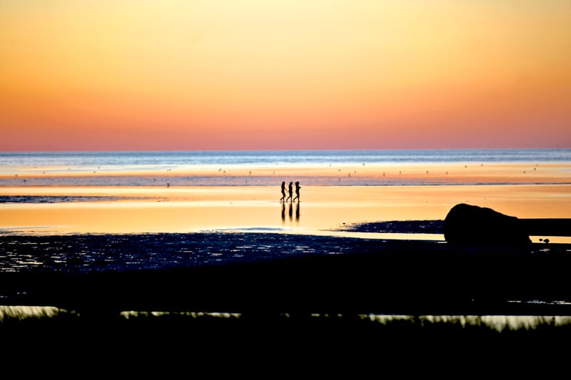 7. CAPE COD 1 : soleil de Brewster