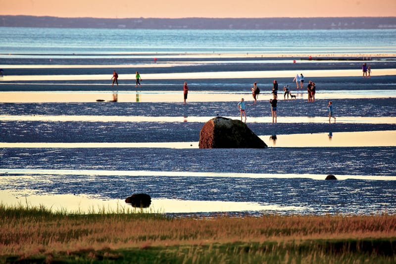 7. CAPE COD 1 : soleil de Brewster