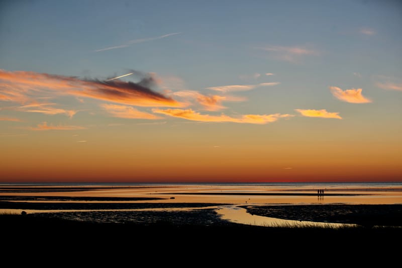 7. CAPE COD 1 : soleil de Brewster