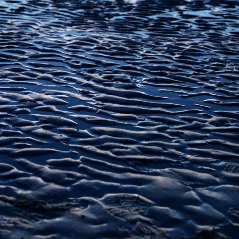 7. CAPE COD 1 : soleil de Brewster