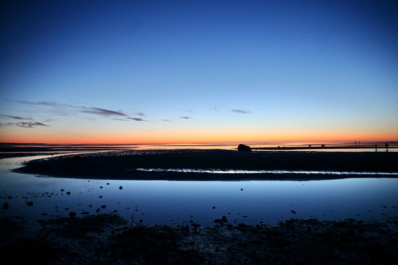 7. CAPE COD 1 : soleil de Brewster