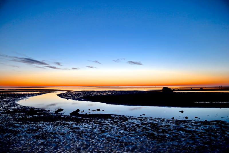 7. CAPE COD 1 : soleil de Brewster