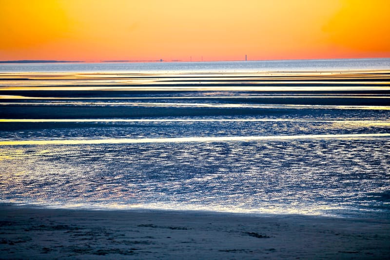 7. CAPE COD 1 : soleil de Brewster