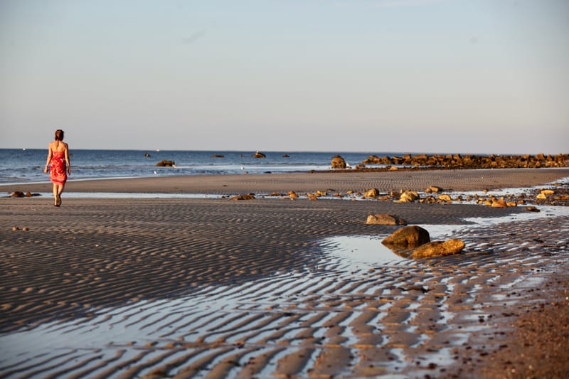 7. CAPE COD 1 : soleil de Brewster