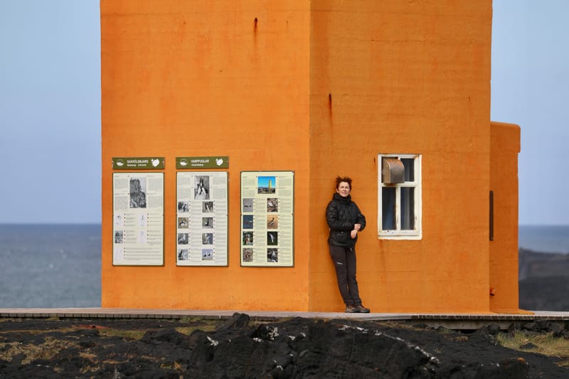 2. Fjord de l'Ouest 1 : Péninsule de Snaefellsnes, Snaefellsjokull, Arnarstapi, Kirkjokull, Grundarfjorour, Stykkisholmur