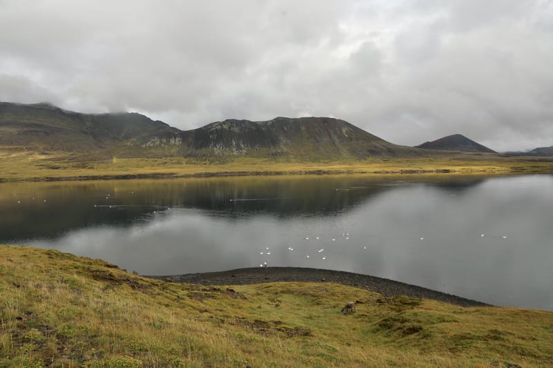 2. Fjord de l'Ouest 1 : Péninsule de Snaefellsnes, Snaefellsjokull, Arnarstapi, Kirkjokull, Grundarfjorour, Stykkisholmur