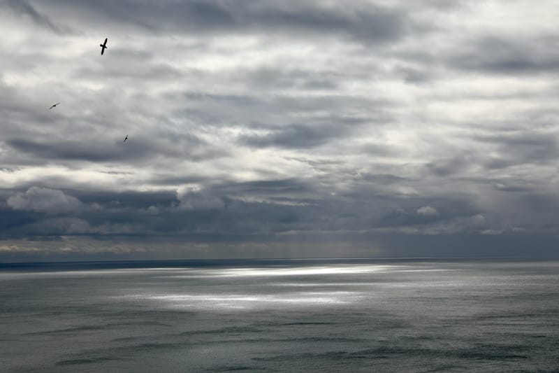 3. Fjords de l'Ouest 2 : Falaises de Latrabjarg, plage de Rauôiasandur