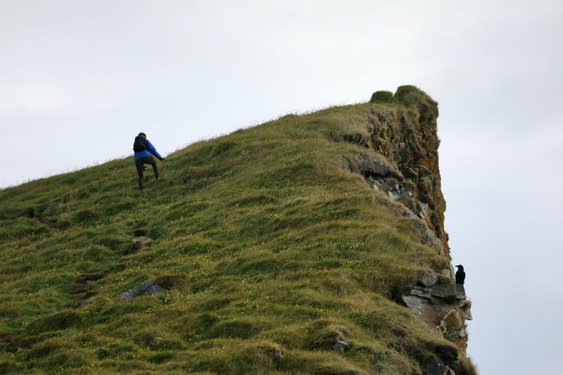 3. Fjords de l'Ouest 2 : Falaises de Latrabjarg, plage de Rauôiasandur