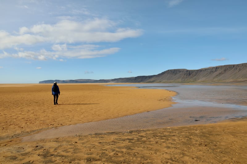 3. Fjords de l'Ouest 2 : Falaises de Latrabjarg, plage de Rauôiasandur