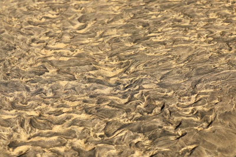 3. Fjords de l'Ouest 2 : Falaises de Latrabjarg, plage de Rauôiasandur