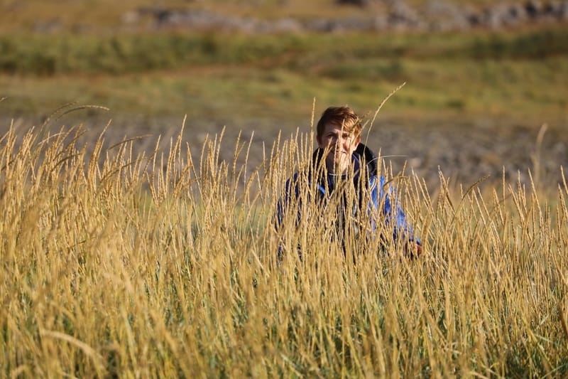 3. Fjords de l'Ouest 2 : Falaises de Latrabjarg, plage de Rauôiasandur