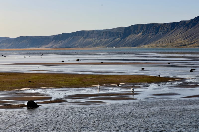 3. Fjords de l'Ouest 2 : Falaises de Latrabjarg, plage de Rauôiasandur