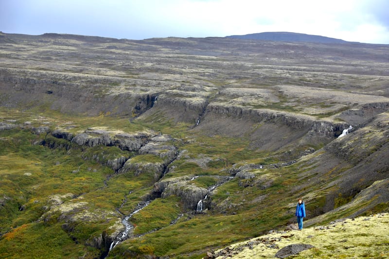 4. Fjords de l'Ouest 3 : Bilduladur, chutes Dynjandi, Pingeiry, Isafjorour, Bolungarvik, Côtes du Hornstrandir