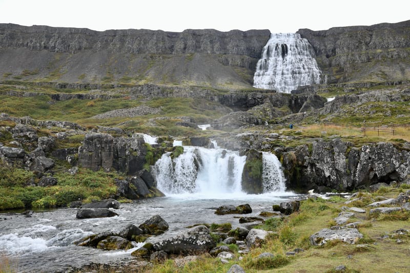 4. Fjords de l'Ouest 3 : Bilduladur, chutes Dynjandi, Pingeiry, Isafjorour, Bolungarvik, Côtes du Hornstrandir
