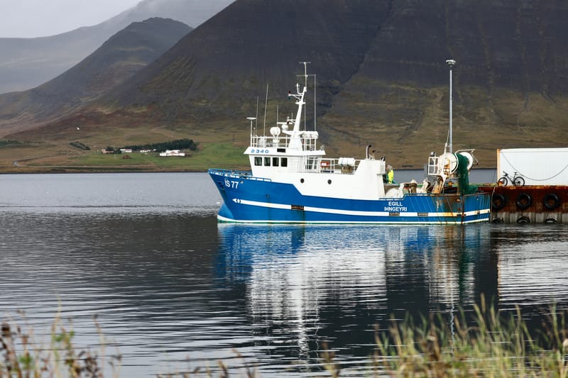 4. Fjords de l'Ouest 3 : Bilduladur, chutes Dynjandi, Pingeiry, Isafjorour, Bolungarvik, Côtes du Hornstrandir