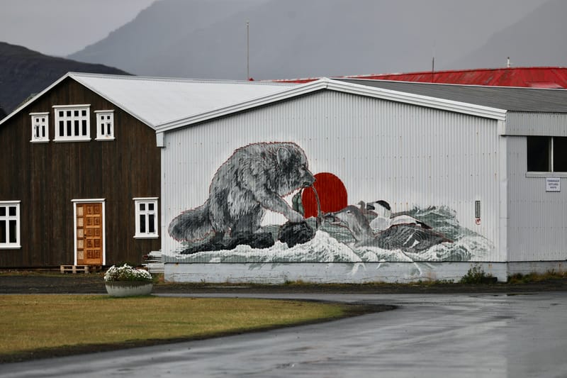 4. Fjords de l'Ouest 3 : Bilduladur, chutes Dynjandi, Pingeiry, Isafjorour, Bolungarvik, Côtes du Hornstrandir