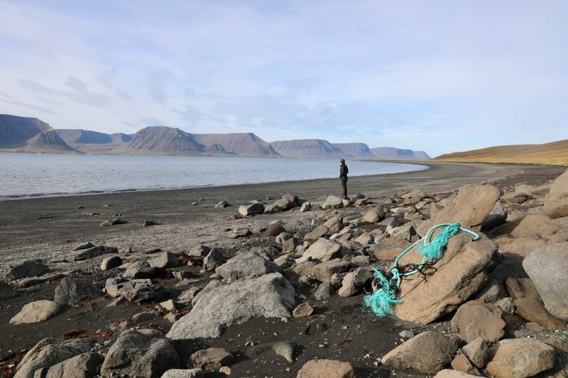 4. Fjords de l'Ouest 3 : Bilduladur, chutes Dynjandi, Pingeiry, Isafjorour, Bolungarvik, Côtes du Hornstrandir