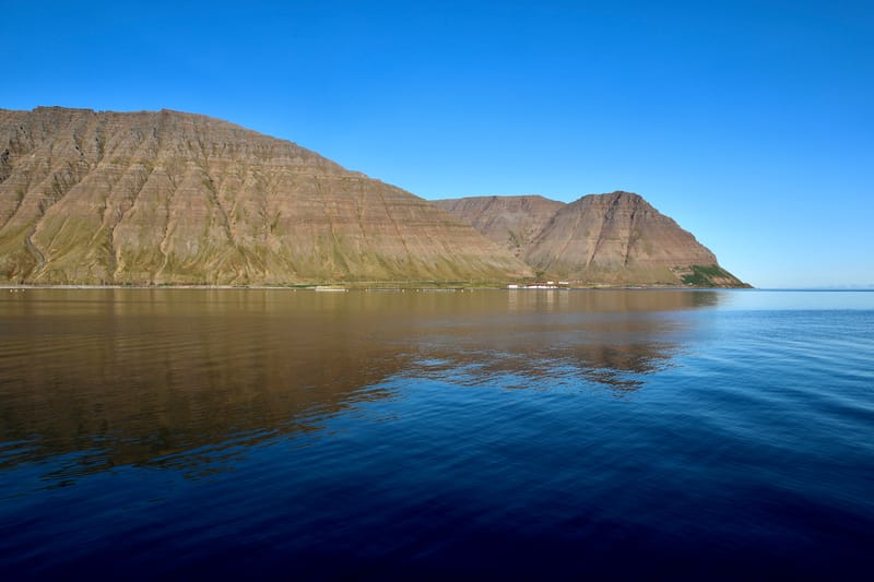 4. Fjords de l'Ouest 3 : Bilduladur, chutes Dynjandi, Pingeiry, Isafjorour, Bolungarvik, Côtes du Hornstrandir