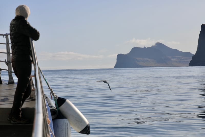 4. Fjords de l'Ouest 3 : Bilduladur, chutes Dynjandi, Pingeiry, Isafjorour, Bolungarvik, Côtes du Hornstrandir