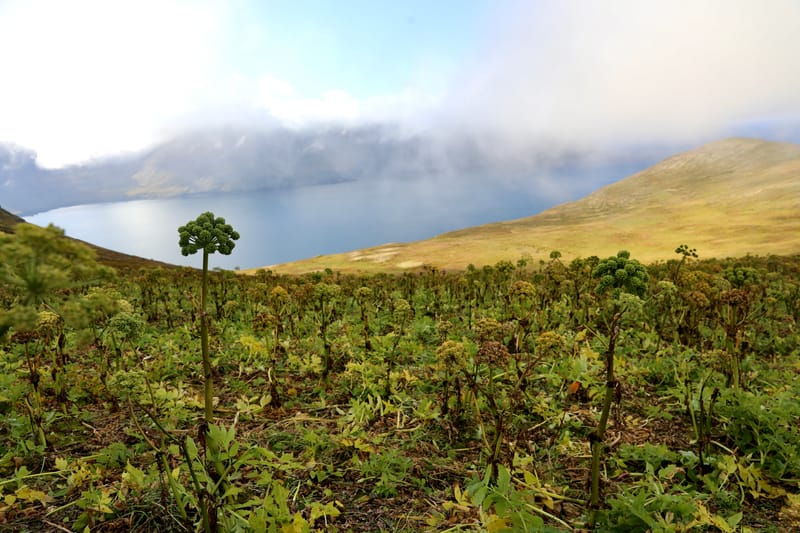 4. Fjords de l'Ouest 3 : Bilduladur, chutes Dynjandi, Pingeiry, Isafjorour, Bolungarvik, Côtes du Hornstrandir