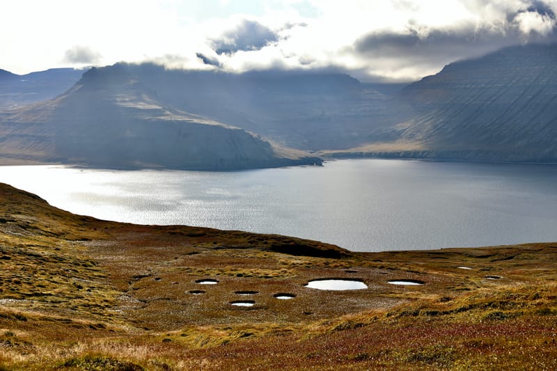 4. Fjords de l'Ouest 3 : Bilduladur, chutes Dynjandi, Pingeiry, Isafjorour, Bolungarvik, Côtes du Hornstrandir