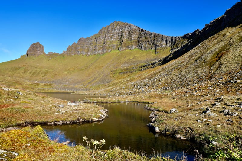 4. Fjords de l'Ouest 3 : Bilduladur, chutes Dynjandi, Pingeiry, Isafjorour, Bolungarvik, Côtes du Hornstrandir