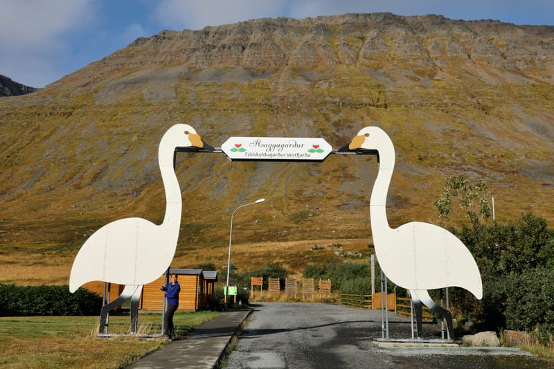 5. Fjords de l'Ouest 4 : Suoavik, Heydalur, Reykjanes, Côtes du Strandir, Drangsnes, Djupavik, Norourfjorour