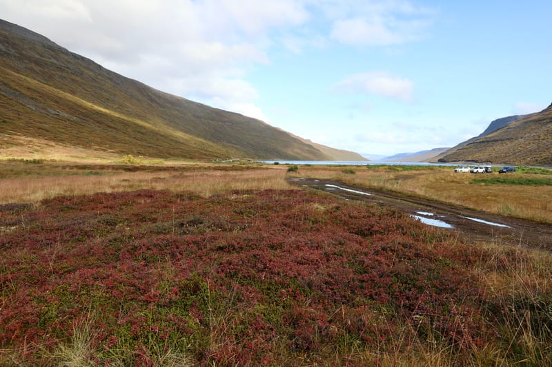 5. Fjords de l'Ouest 4 : Suoavik, Heydalur, Reykjanes, Côtes du Strandir, Drangsnes, Djupavik, Norourfjorour