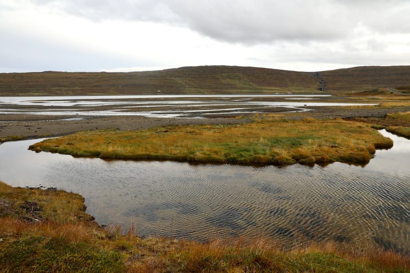 5. Fjords de l'Ouest 4 : Suoavik, Heydalur, Reykjanes, Côtes du Strandir, Drangsnes, Djupavik, Norourfjorour