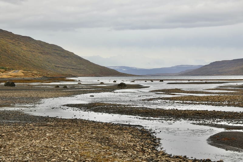 5. Fjords de l'Ouest 4 : Suoavik, Heydalur, Reykjanes, Côtes du Strandir, Drangsnes, Djupavik, Norourfjorour