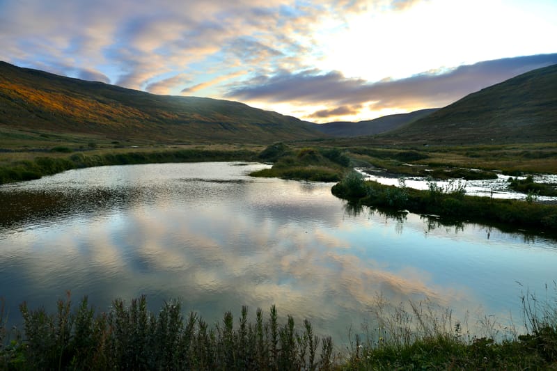 5. Fjords de l'Ouest 4 : Suoavik, Heydalur, Reykjanes, Côtes du Strandir, Drangsnes, Djupavik, Norourfjorour